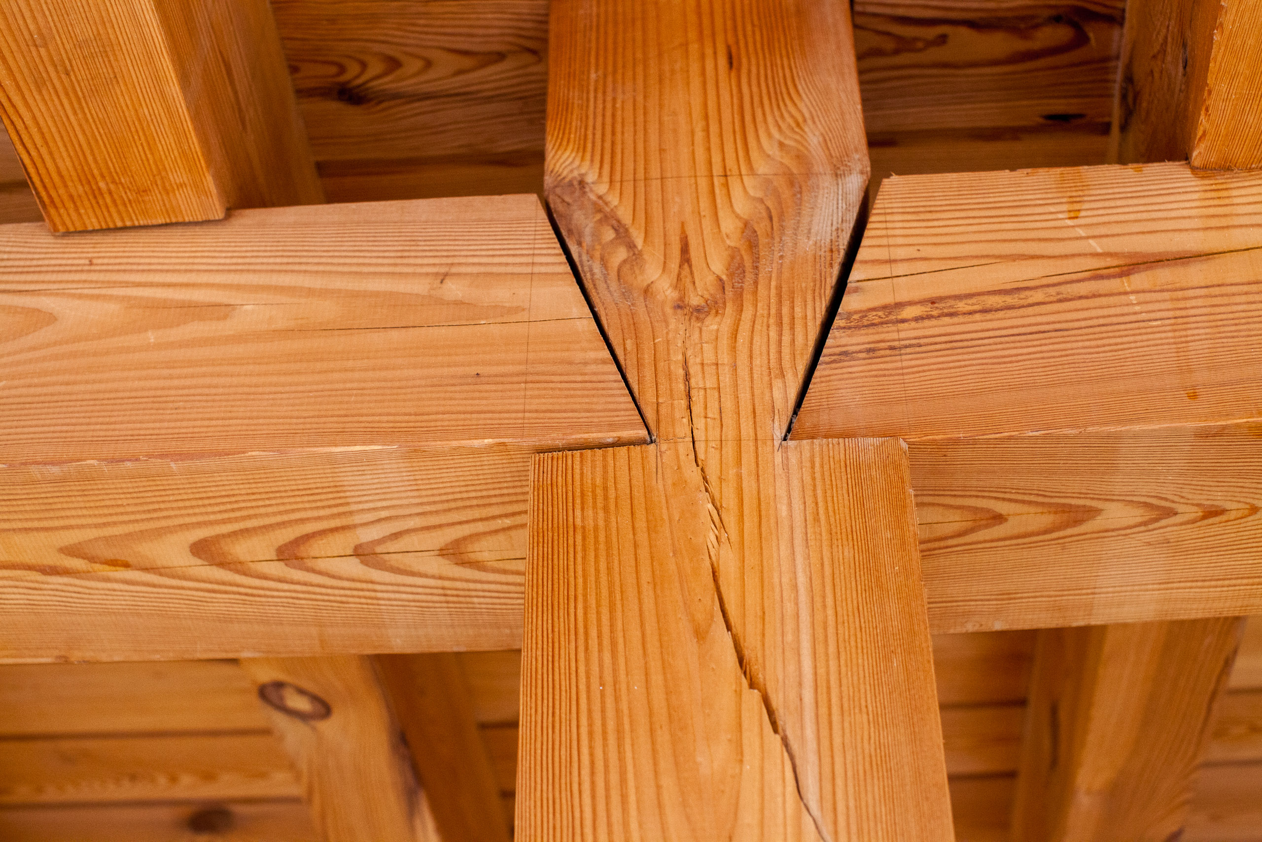 20110313145451 IMG 7345